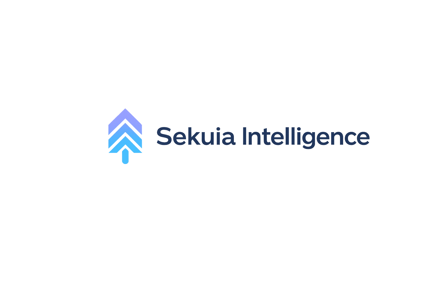 Sekuia Intelligence